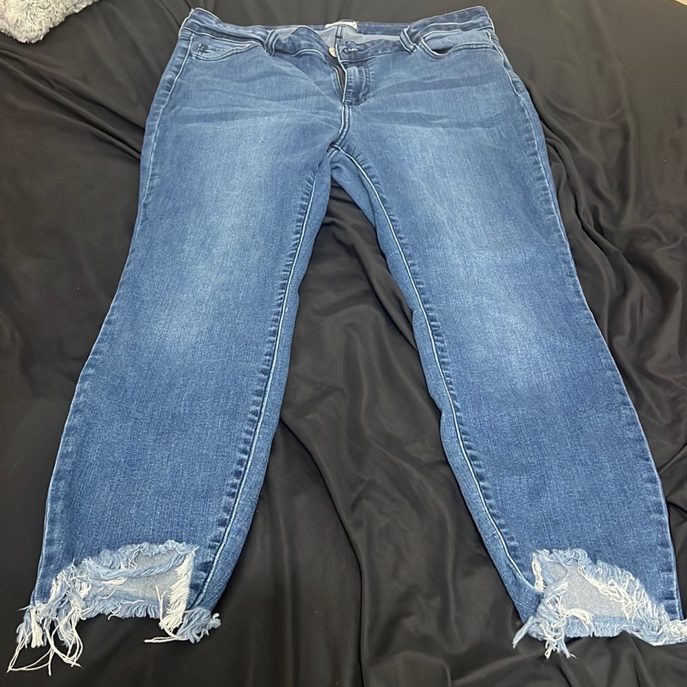 Ms. Cello jeans in great condition